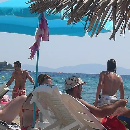 Gasthof In Bb - Welcome To Petunia, In Neos-marmaras,xalkidiki ,greece, Triple 7 *
