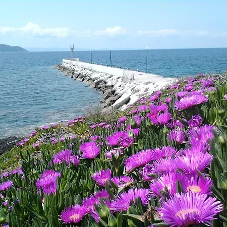 In Bb - Welcome To Petunia, In Neos-marmaras,xalkidiki ,greece, Triple 7 *